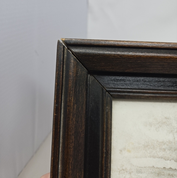 Maryrose Wampler Art Print Crocus Flowers Purple & Yellow Botanical Beauty - Picture 13 of 15